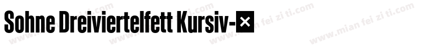 Sohne Dreiviertelfett Kursiv字体转换